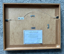 Load image into Gallery viewer, Jack Lukeman back of artwork