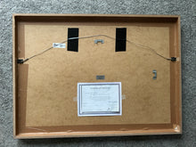 Load image into Gallery viewer, Katrina of the Waves by Stella Tooth back