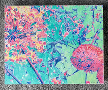 Load image into Gallery viewer, Allium floral drawing by Stella Tooth artist