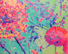 Load image into Gallery viewer, Allium original pencil on cradled gesso panel artwork by Stella Tooth floral art.