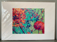 Load image into Gallery viewer, Fine art print reproduction of Allium original pencil on cradled gesso panel artwork by Stella Tooth floral art.