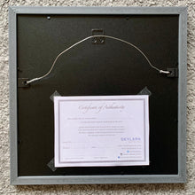 Load image into Gallery viewer, Back of artwork