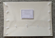 Load image into Gallery viewer, Back view of artwork