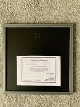 Load image into Gallery viewer, Back view of digital painting