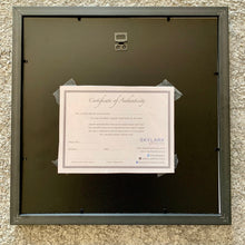 Load image into Gallery viewer, Back view artwork