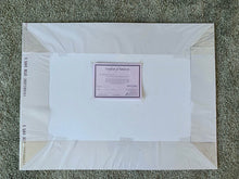 Load image into Gallery viewer, Banjo Player Jimmy Grayburn Pencil on Paper Artwork by Stella Tooth Artist Back