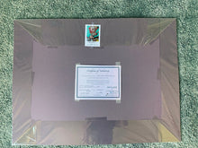 Load image into Gallery viewer, Daisy and other flowers by Stella Tooth Pencil on paper back