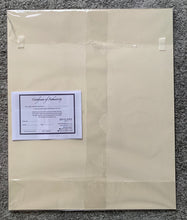 Load image into Gallery viewer, Back of artwork