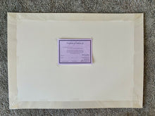 Load image into Gallery viewer, Good art walks a tightrope Venice busker by Stella Tooth Artist Back