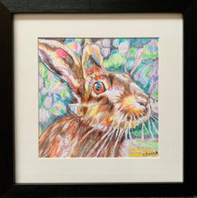 Load image into Gallery viewer, Henrietta hare pencil on paper by Stella Tooth animal artist in frame
