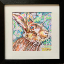 Load image into Gallery viewer, Henrietta hare pencil on paper by Stella Tooth animal artist in frame