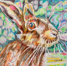 Load image into Gallery viewer, Henrietta hare pencil on paper by Stella Tooth animal artist