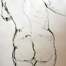 Load image into Gallery viewer, Life Drawing Ink by Stella Tooth Detail
