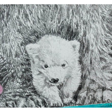 Load image into Gallery viewer, Polar bears close up pencil on paper by Stella Tooth
