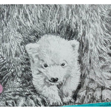 Load image into Gallery viewer, Polar bears close up pencil on paper by Stella Tooth
