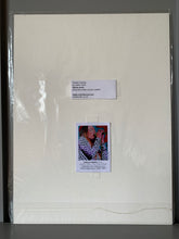 Load image into Gallery viewer, Fine art print reproduction of original oil painting by Stella Tooth portrait artist of Roman Holiday. Back view