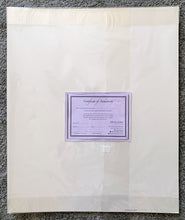 Load image into Gallery viewer, Back of artwork