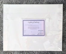 Load image into Gallery viewer, Stella Tooth Certificate of Authenticity