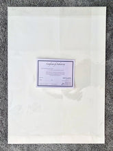 Load image into Gallery viewer, Stella Tooth Certificate of Authenticity