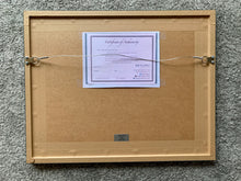 Load image into Gallery viewer, Back of artwork