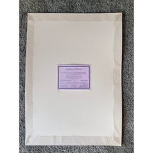 Load image into Gallery viewer, Juggling busker Corey Pickett performing in Covent Garden London pencil drawing on paper by Stella Tooth portrait artist back