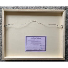 Load image into Gallery viewer, Back of artwork