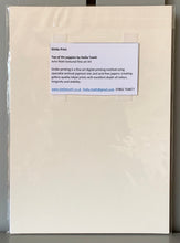 Load image into Gallery viewer, Fine art print reproduction of original oil painting Top of the poppies by Stella Tooth floral art Back view