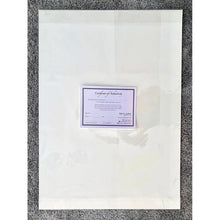 Load image into Gallery viewer, Ultimate Beatles at the Half Moon Putney Mixed media on paper of musician by London based performer artist Stella Tooth back