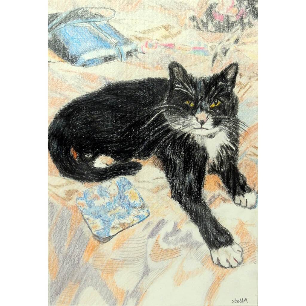Polly the black and white cat by Stella Tooth artist
