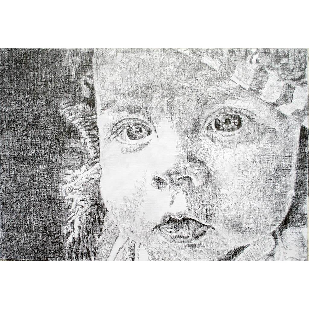 Daisy pencil on paper artwork by Stella Tooth Artist