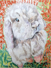 Load image into Gallery viewer, FinA lop-eared rabbit original drawing by Stella Tooth pet portraitist
