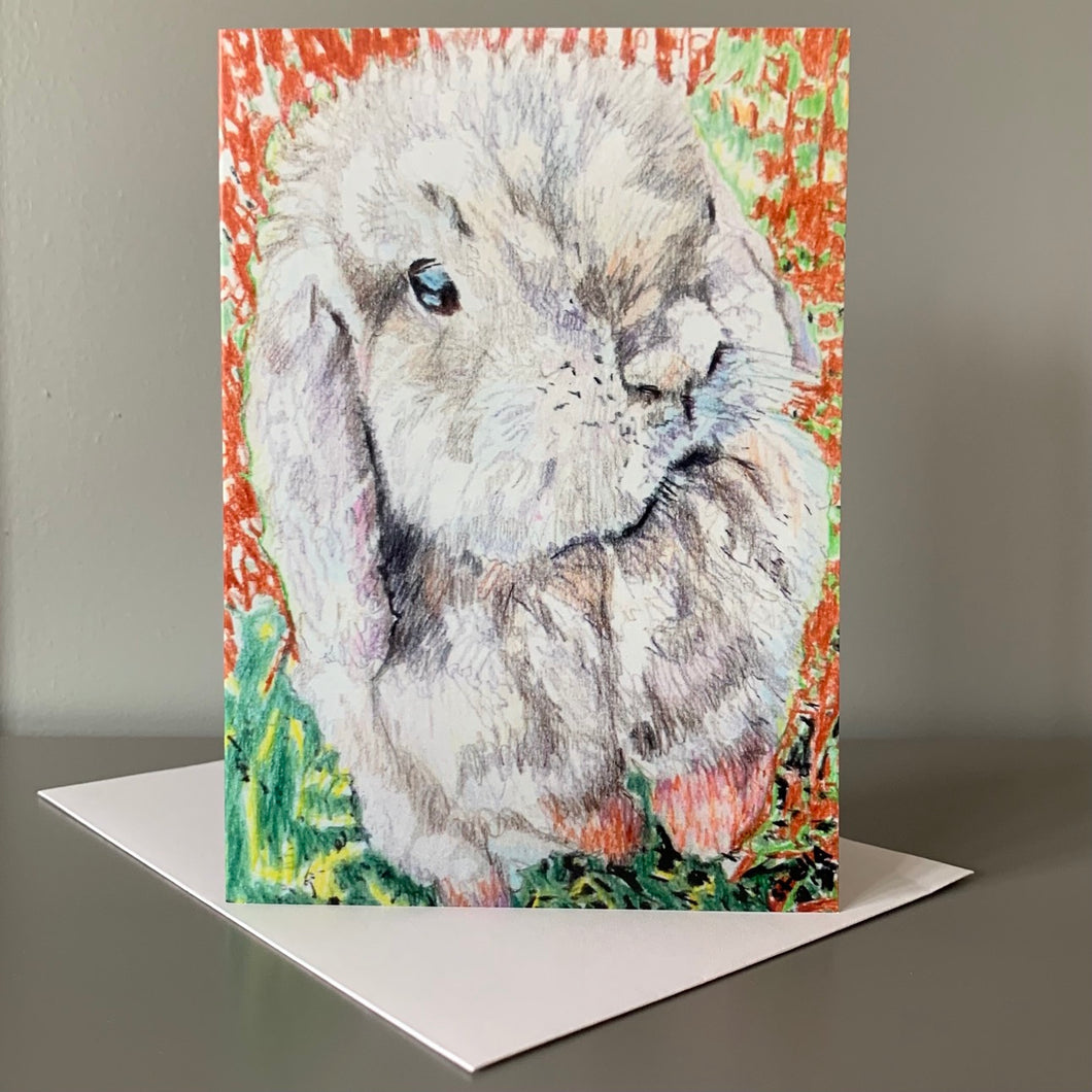 Fine art greetings card of a lop-eared rabbit by Stella Tooth animal art