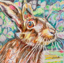 Load image into Gallery viewer, Henrietta hare pencil on paper by Stella Tooth animal artist
