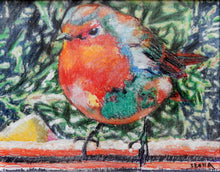 Load image into Gallery viewer, Origional painting of robin by Stella Tooth animal art
