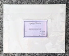 Load image into Gallery viewer, Stella Tooth Certificate of Authenticity
