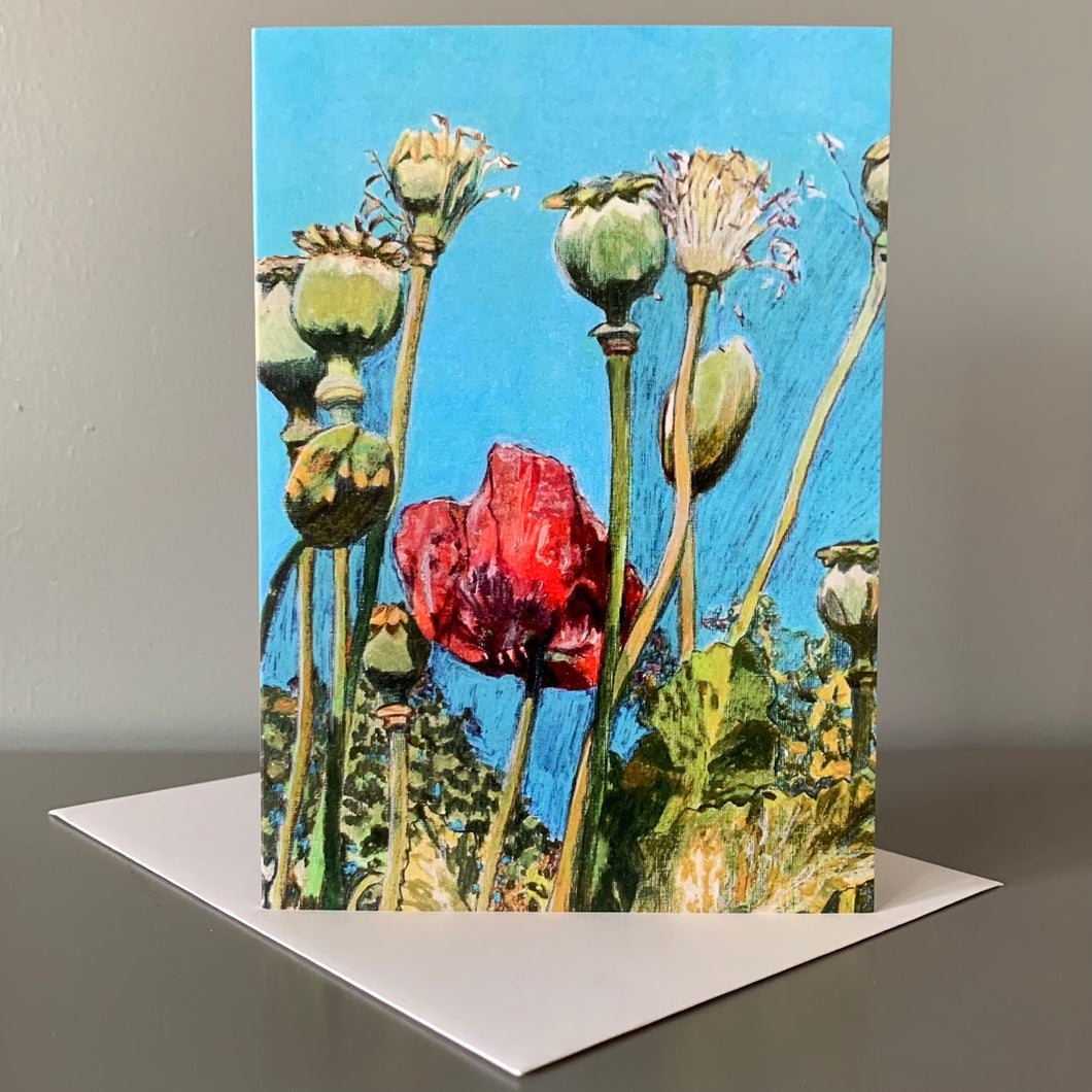 Top of the poppies Fine Art Greetings Card 3 pack