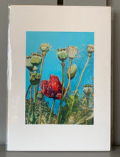 Load image into Gallery viewer, Fine art print reproduction of original oil painting Top of the poppies by Stella Tooth floral art
