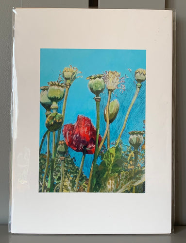 Fine art print reproduction of original oil painting Top of the poppies by Stella Tooth floral art